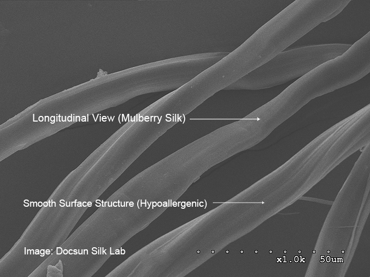 Longitudinal SEM view confirming smooth scale-free mulberry silk surface