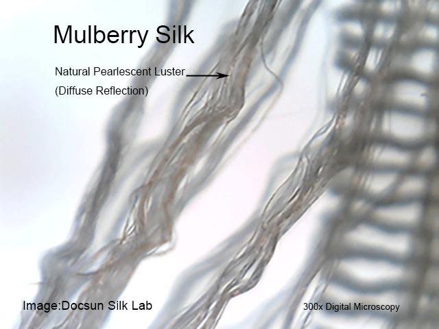 Digital microscopy of mulberry silk showing diffuse reflection