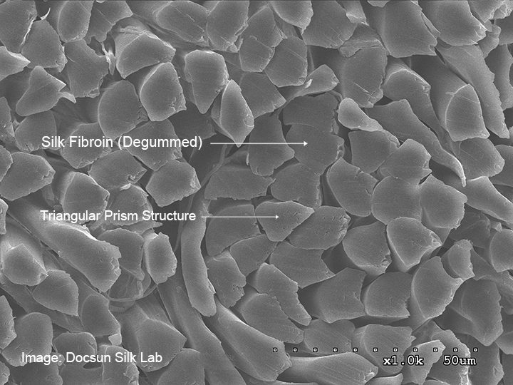 SEM cross-section of DOCSUN 6A mulberry silk showing rounded triangular prism structure